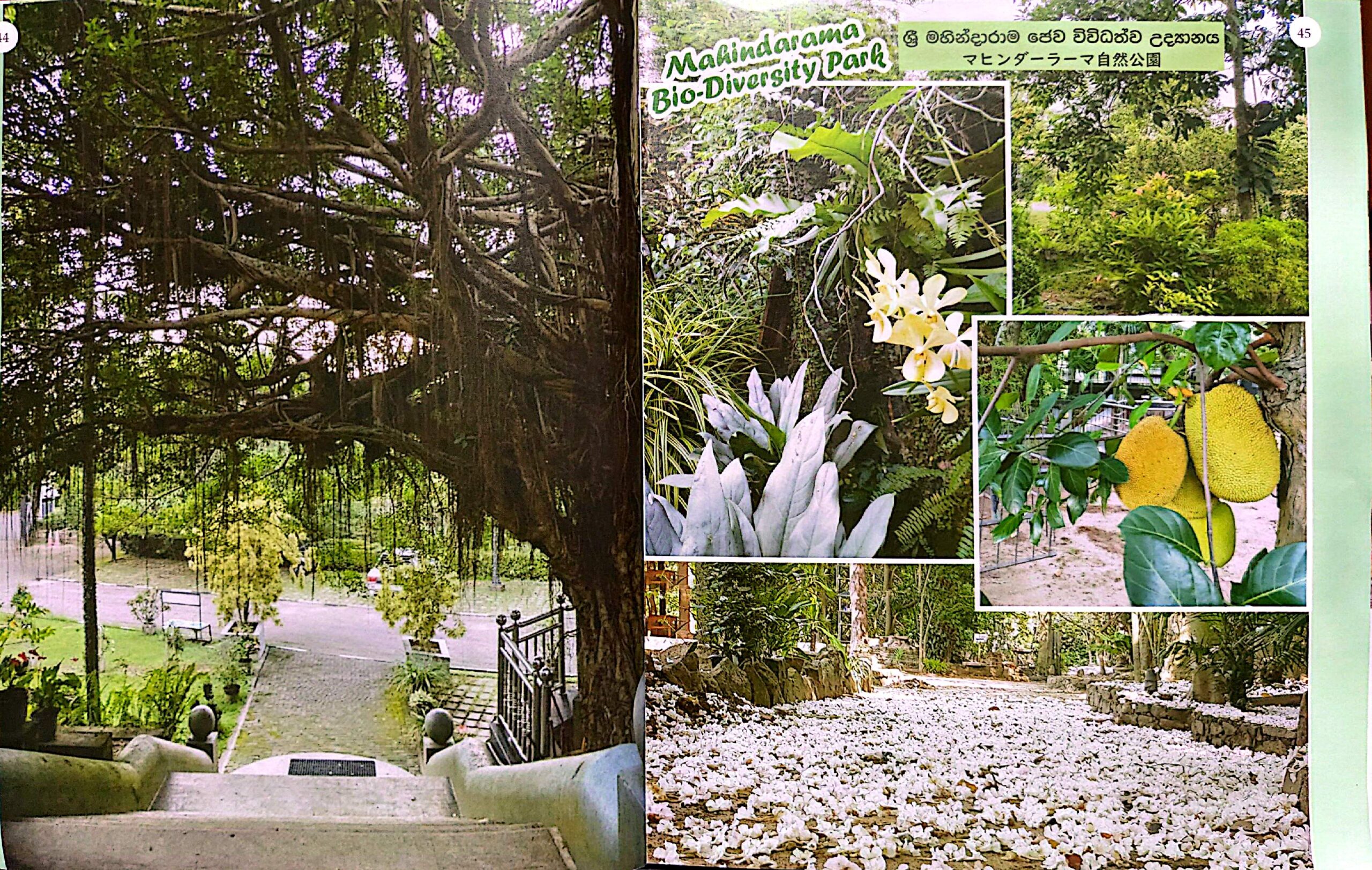 CamScanner 2026-04-10 09.16_5